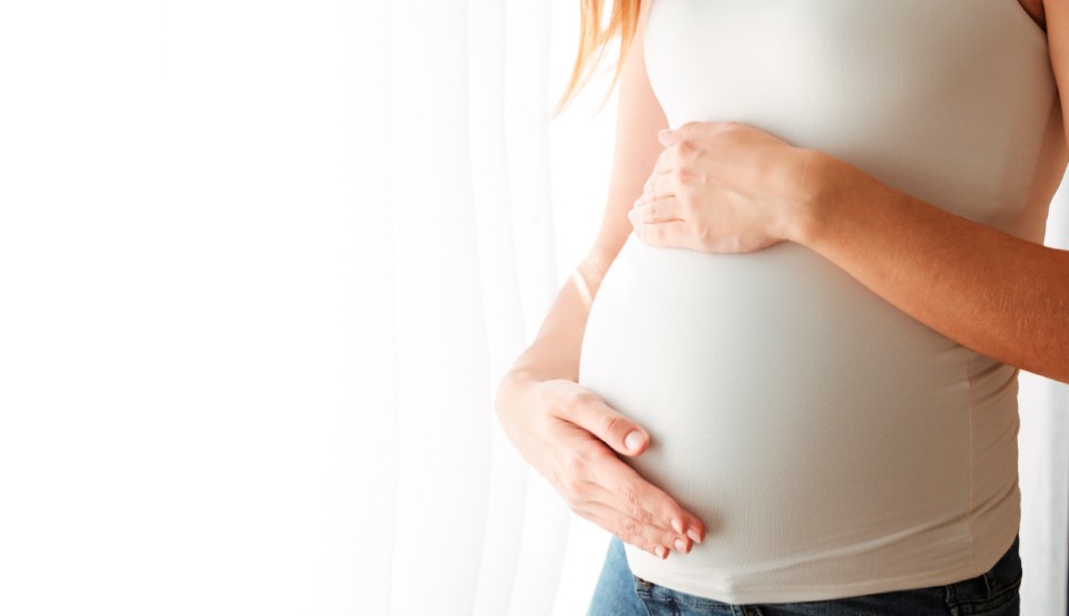 Painéis NIPT - EXAME PRÉ NATAL MOLECULAR NÃO INVASIVO